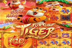 5gbet 15